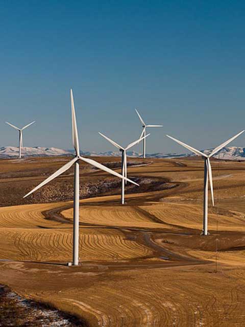 在线轰炸机网页版